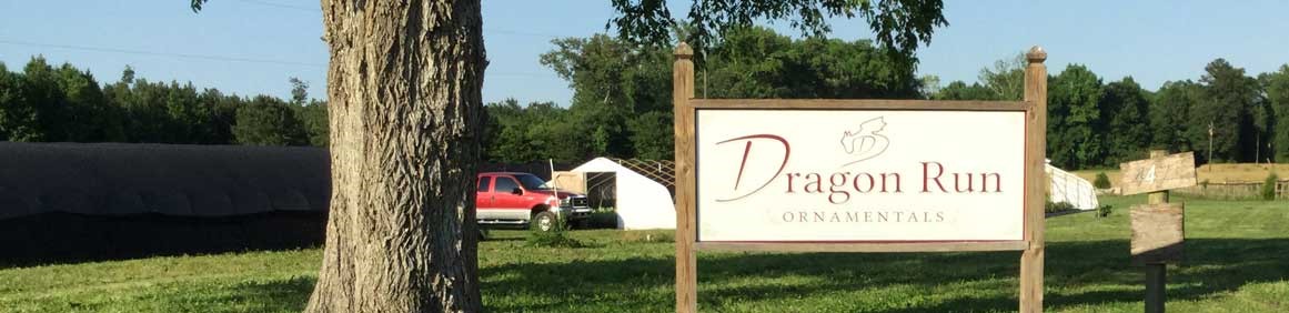 Dragon Run Ornamentals nursery entrance sign, with greenhouses visible behind it