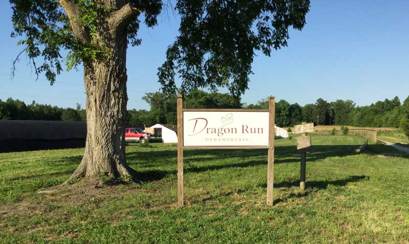 The Dragon Run Ornamentals entrance sign, with greenhouses and growing rows visible behind it.