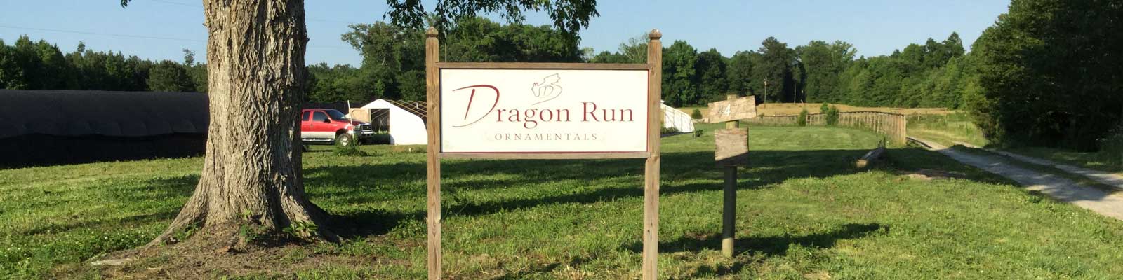 Dragon-Run-Ornamentals